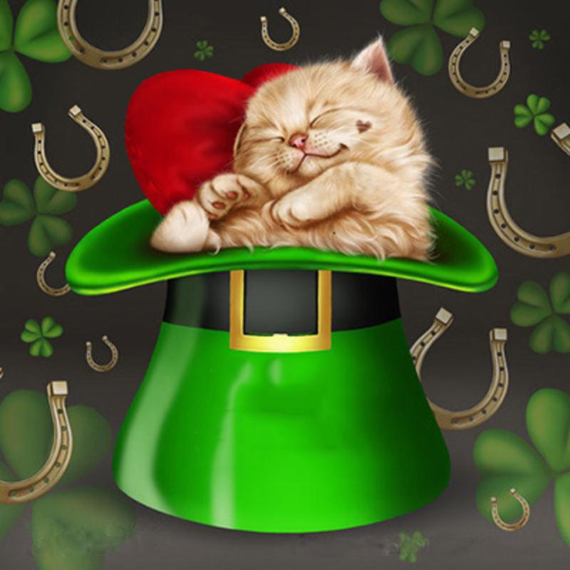 5D DIY Алмазная картина Кошка Наборы для вышивки крестом Алмазная вышивка Животное Рукоделие Мозаика Полный квадрат Декор для дома