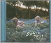 CD SONIC YOUTH - Сэмплер альбома Murray Street SONIC1 Geffen Records 2002 UK Рок Б/У