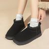 Fashion Shoes for Women 2024 Winter New Fashion Women's Boots Designer Luxury Ladies Platform Casual Snow Boots Fur Warm Ankle Boot