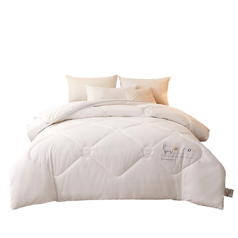 Jieliya Australian Wool Winter Comforter