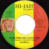7-дюймовая пластинка JAHMALI - Burn Dem And Leave Dem NONE Hi-Jah Records 2007 Ямайка Регги, Ска и Даб Б/У