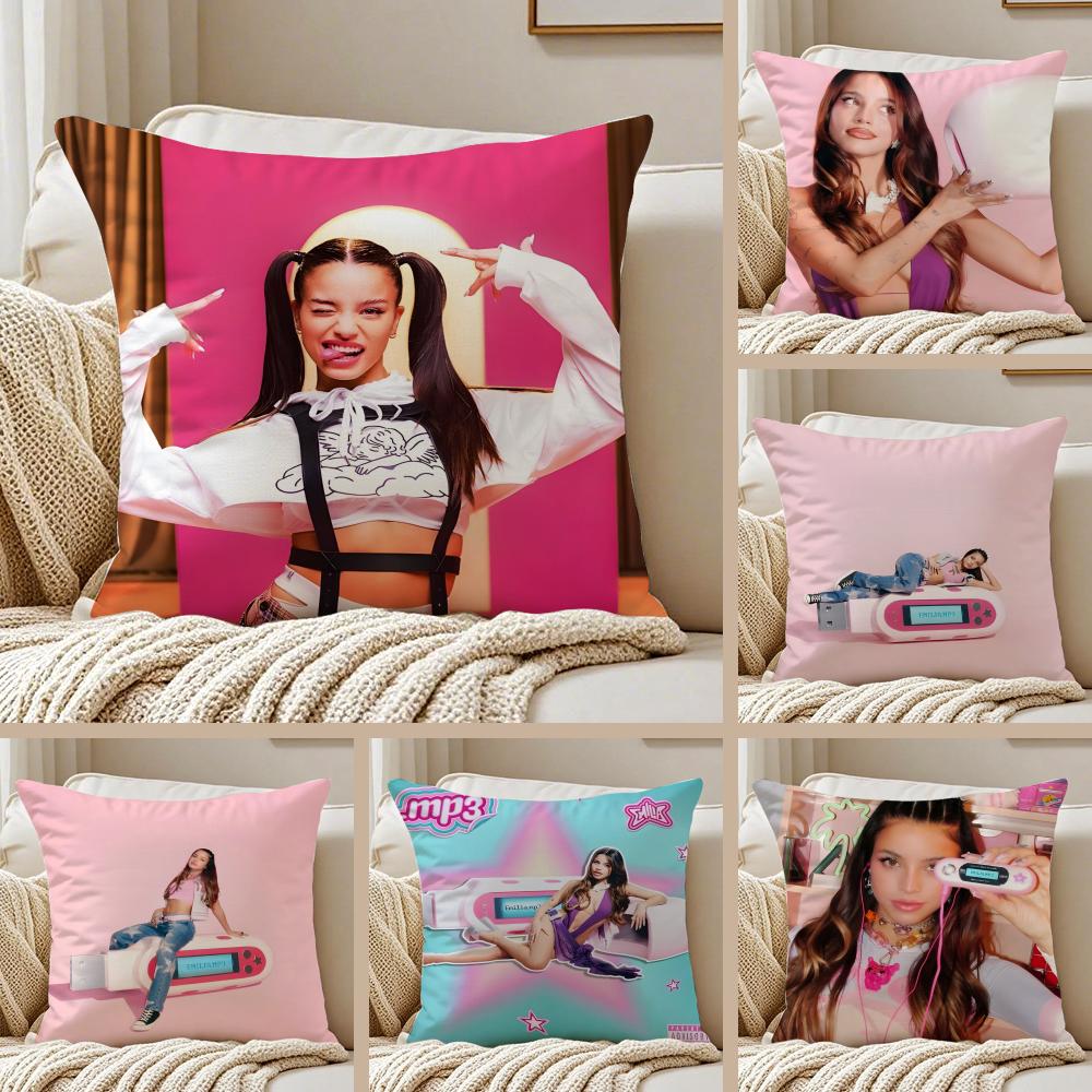 Singer EEmilia Classic Cushion Cover Pillowcase Antidustmite Invisible Zipper Short Plush Sofa Cushion