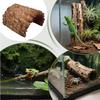 Gecko Hides Resin Shelter Cave Turtle Resting Terrace For Bearded Dragon Leopard Turtle Frog Geckos Reptiles Amphibians Aquarium