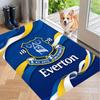 Мягкий ковер для пола с футбольным узором Everton, ковер-зона, декоративный коврик для декора комнаты в доме