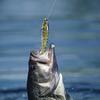 1шт Swimbait Pike Wobblers Crankbait Fishing Lure Multi Swimbait Hard Musky Sinking Isca Jointe K5W0