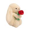 New Valentine's Day Love Boiled Egg Embrace Rose Lop Rabbit Doll Doll Gift for Women
