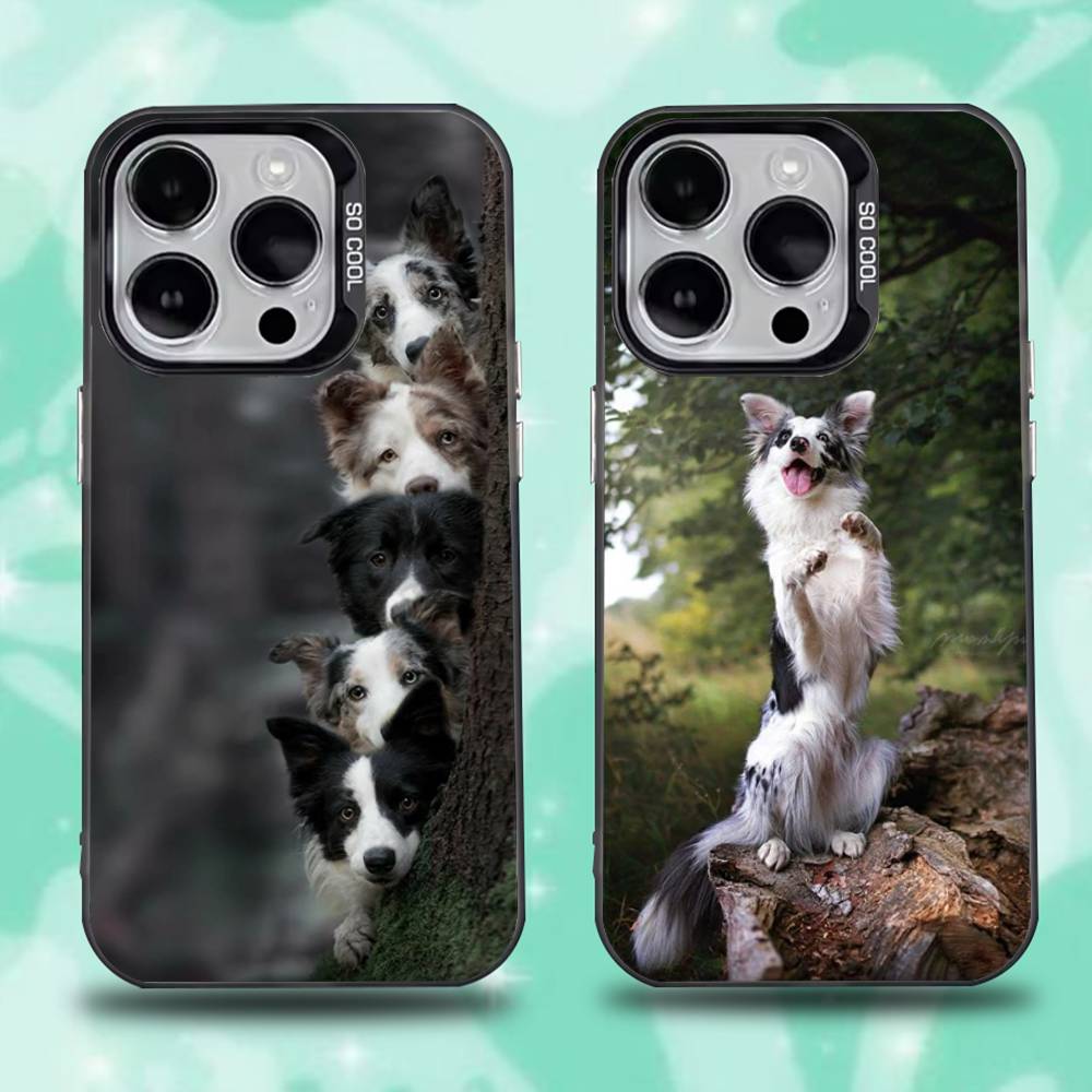 Border Collie Dog Phone Case For iPhone 16,15,14,13,12,11,Pro,Max,Plus,Mini,XS,SE Anti Fall Black Matte Hard Bumper