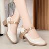 Mary Janes Woman Pumps Casual High-heeled Shoes Ladies Fashion Shoes Woman Shallow Mouth Thick Heel Office Pumps Shoes