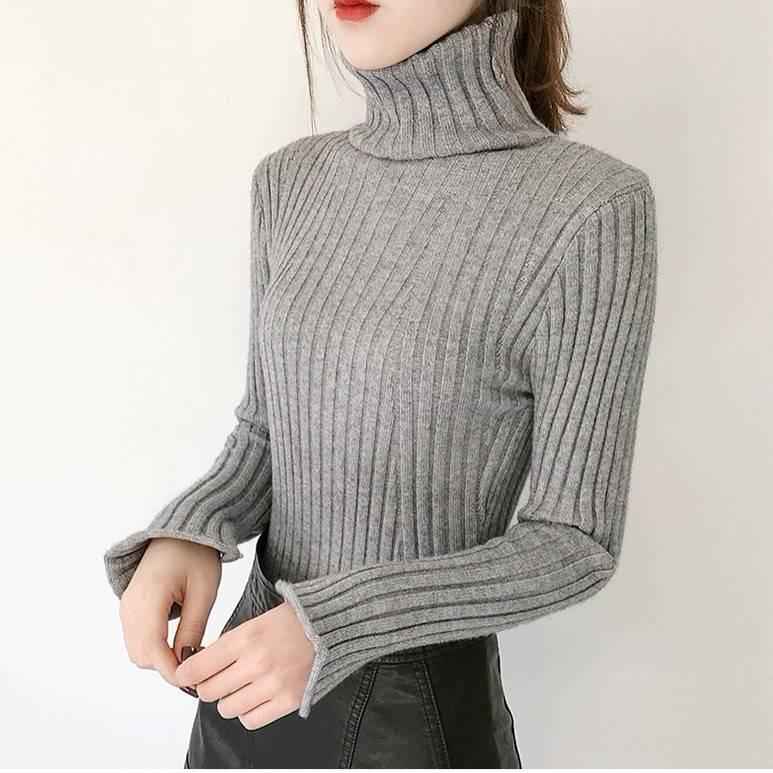 Autumn and Winter Turtleneck Sweater Women's Knit Bottoming Shirt Slim Inside Long Sleeves