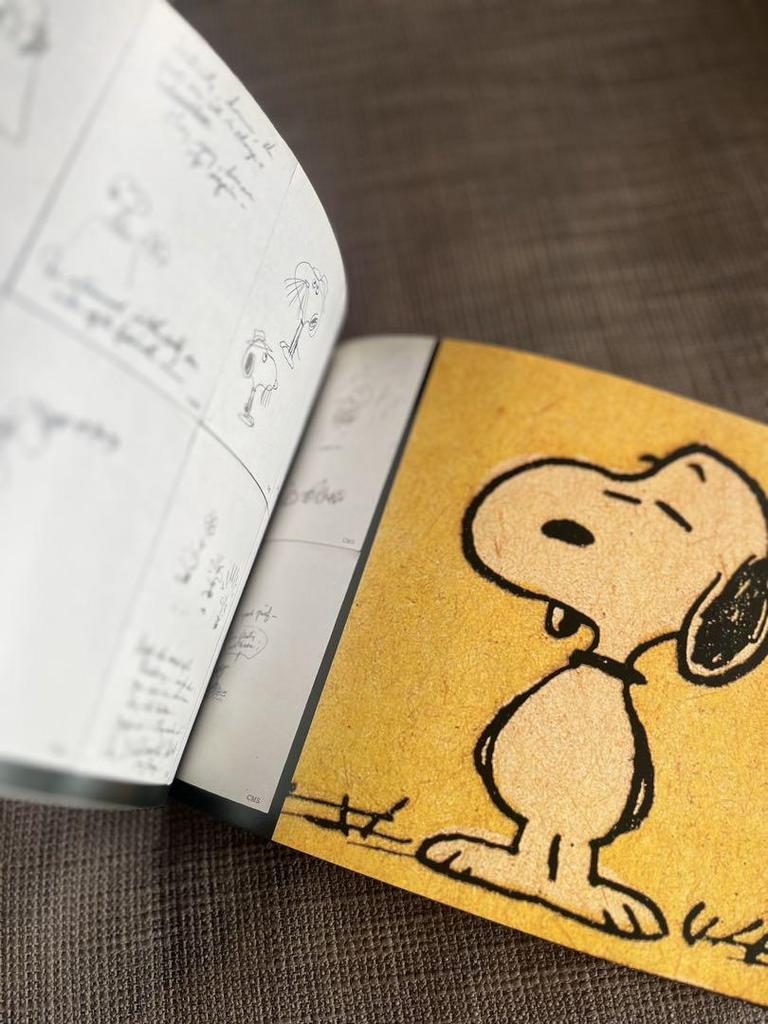 [Б/У] SNOOPY зарубежные книги, заводная кукла, чехол