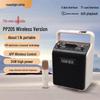 Edifier PP205 Portable Wireless Bluetooth Karaoke & Outdoor Speaker