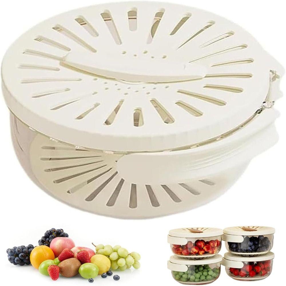 Draining Bowl Drain Bowl Storage Box Vegetable Washing Basin Water Filter Rack for Household