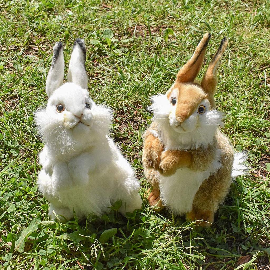 BH3316 HANSA Rabbit 30