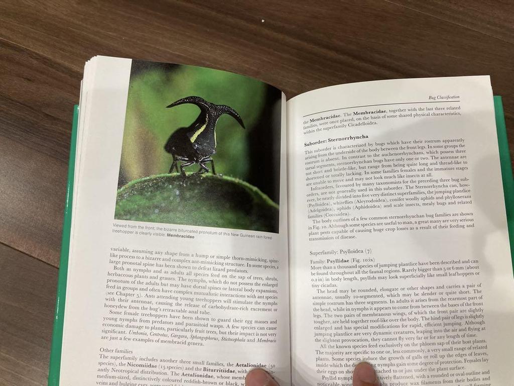 [ИСПОЛЬЗОВАН] Жуки мира Поиск образцов насекомых