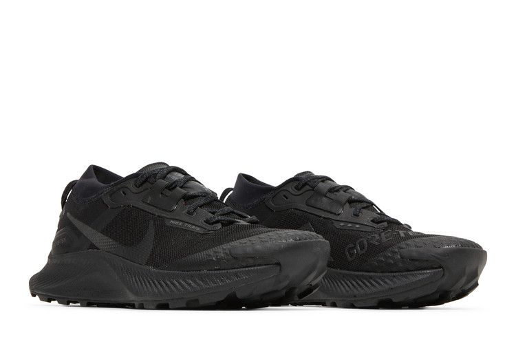 Nike Pegasus Trail 3 Gore-Tex Black Dark Smoke Grey (Women's)