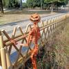 Halloween Pumpkin Skeleton Decorations with Movable Joints Human Bones Stayable Posable Skeletons for Spooky Scene Party Favor
