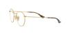 Очки 0RX3447V ROUND METAL Япония 50 2500 ЗОЛОТОЙ Ray-Ban (БЕСПЛАТНЫЙ размер)