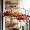 Набор подвесных кашпо для дома Набор подвесов для растений Подвесной настенный цветочный горшок с металлом