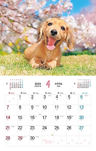 Пушистый щенок (Календарь Impress 2024)