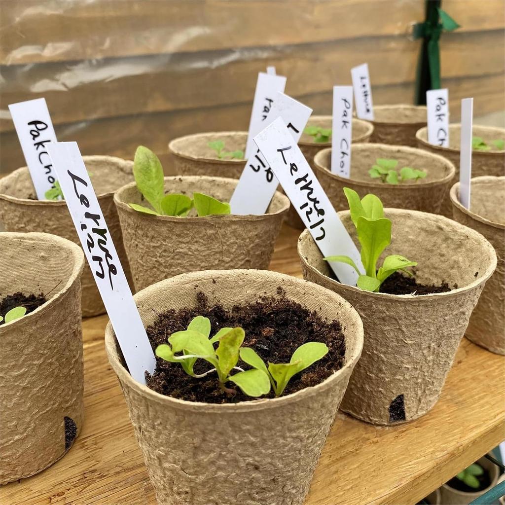 60 шт. 3,1-дюймовых торфяных горшков с 60 шт. этикеток для растений, биоразлагаемые горшки для рассады с дренажными отверстиями, горшки для рассады садовых растений, поддоны для высадки семян