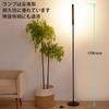 Huakey Home Nordic LED Floor Lamp, 12W, Indirect Lighting, Stepless Dimming and Color Adjustment, Height-Adjustable Reading Stand, Stylish Interior