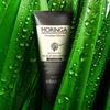 [BARON] Moringa Scalp Scaling Shampoo 200ml