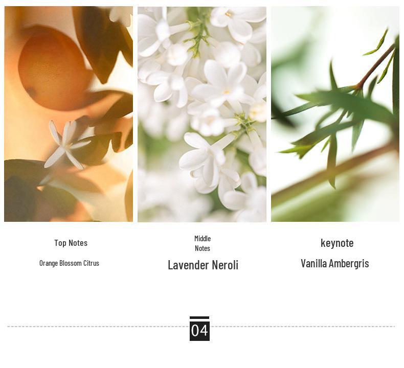 Azure Мужская Стойкая Туалетная Вода: Землистый и древесный набор из 3 предметов - Коллекция ароматов Вьетнама.