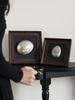 Натуральная Раковина Декоративная Картина Фоторамка Подвеска Фоновая Стена Декоративные Аксессуары Ракушки Украшения Рамка для Фотографий