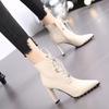Pointed High Heels Thick Heel Short Boots Women's New Lace-up Versatile Thin Martin Boots Tide