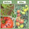 Garden Netting Plant Cover Square Tomato Cage Cover Breathable Mesh Insect Bird Barrier Netting with Zipper And Drawstring for Tomato Trellis