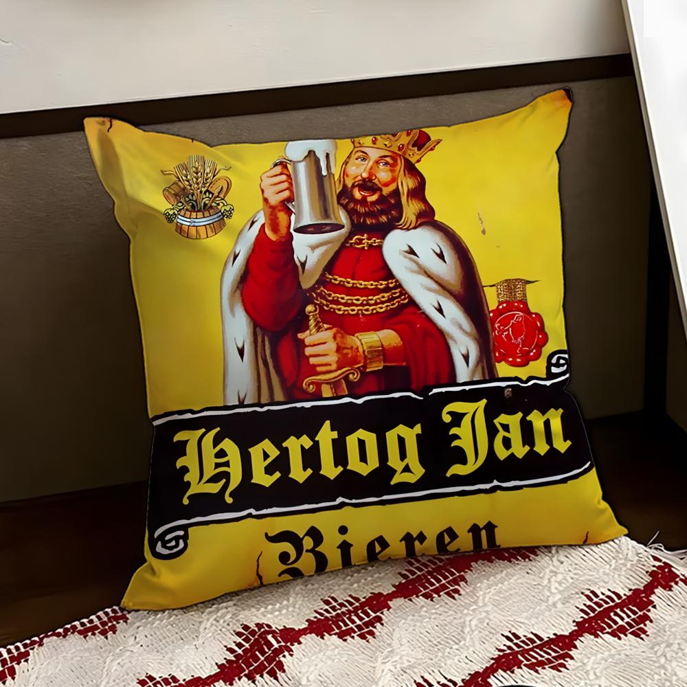 HHERTOG JANS Cushion Cover Reversible Soft Durable Pillow Cover Home Car MultiScene Use for Daily Comfort