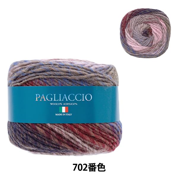 SKIYARN Пряжа Цвет Осень/Зима "Piaccio 702"