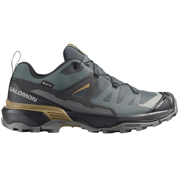 Треккинговые ботинки Salomon X Ultra 360 GTX