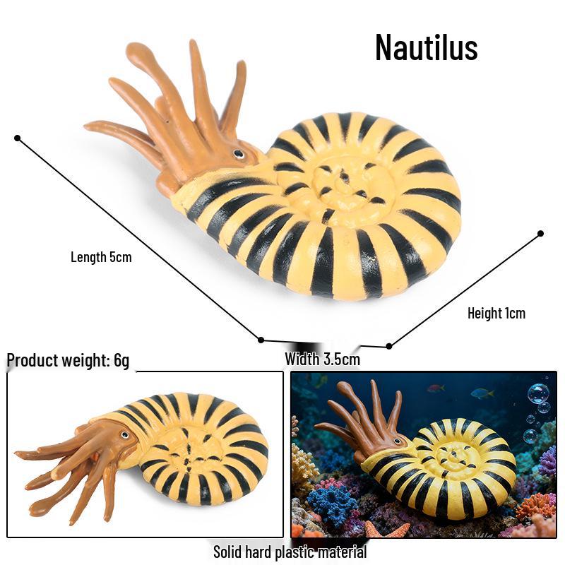 Marine Animal Simulation Models: Jellyfish, Octopus, Sea Shrimp, Sea Anemone, Squid, Horseshoe Crab, Crayfish, Arrowhead