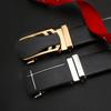 Мужской ремень нестандартный повседневный ремень импортная торговля молодежный простой автоматическая пряжка искусственная кожа железная пряжка ремень