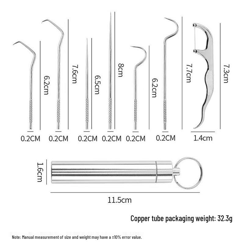 Stainless Steel Toothpick Set: Portable Teeth Cleaning Tool and Tooth Gap Cleaner