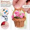 10 Pieces Bird Toy Chewing Hanging Feeder Foraging Basket for Small Animal Parakeet