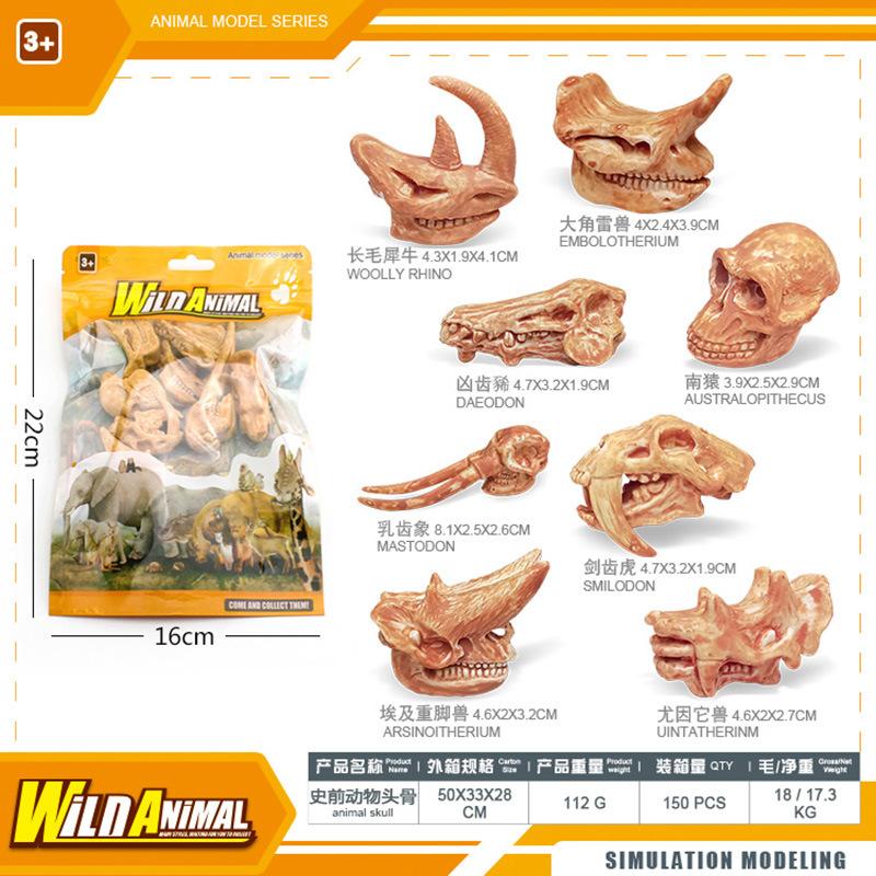 Simulation Prehistoric Creature Model Primate Mammal Skull Tabletop Static Ornament Toy