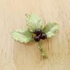 Fashion Women'S Hong Holly Fruit Brooch Retro Plant Leaves Green Lacquer Pin Brooch Clothing