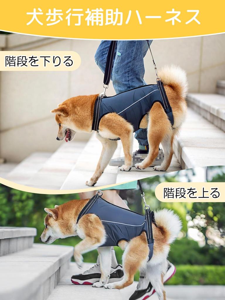 GIIPET Dog Care Walking Aid for Senior and Easy To Put On and Take Suitable for Small and Medium Leg and Supports Front and Hind Convenient for