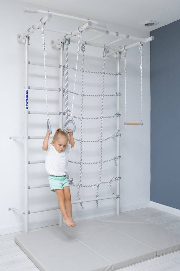 Wall Bars Comet Next 5 - Purple