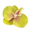 Elegant Flower Hair Clip Unique Hair Barrettes Large Flower Acrylic Hair Clip Chic Hairpin for Weddings and Parties