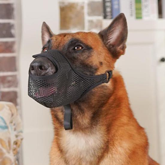 Намордник для собак средних и больших пород. Сетчатый намордник с передним отверстием. Дышащий намордник для собак с регулируемым ремешком.