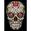 Full 5D Diy Diamond Painting Printed Skull Embroidery Cross Stitch Home Decor Handmade Gift