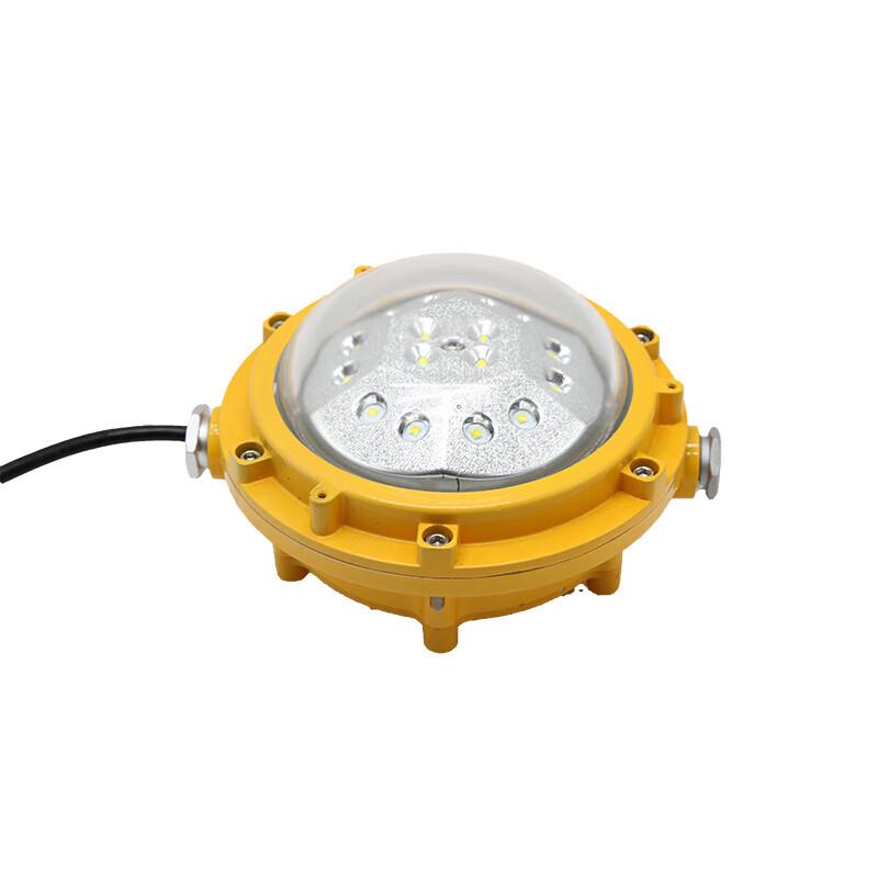 Explosion-Proof Platform Light