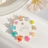Transparent Mini Hair Claw Hair Clip Flower Mini Hair Claw Retro Star Hair Crab Clip  Women