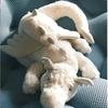 Cute soft snow/rose powder/purple dragon home decoration ornament with jca label gift living room decoration home accessories