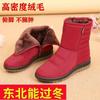 Waterproof Snow Boots Women Winter Shoes Non-slip Cold Winter Women Ankle Boots Non-slip Ladies Cotton Shoes Big Size2025