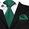 Запонки для галстука Hanky для мужчин, зеленый клетчатый комплект с галстуком в клетку