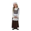 Girls Tudor Costume